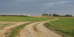Senantes (Chemin)