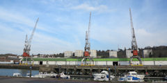 Dieppe (Grues)