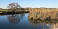 Arques la Bataille (Confluence 1)