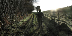 Le Bois Robert (Chemin)