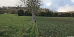 Torcy le Grand (Sente)