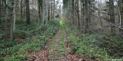 Les Cent Acres (Chemin)