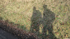 Le Catelier (Ombres)