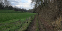 Longueville sur Scie (Chemin)