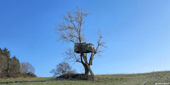Les Cent Acres (Mirador)