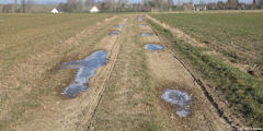 Cropus (Chemin)