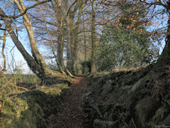 Le Catelier (Sente 1)