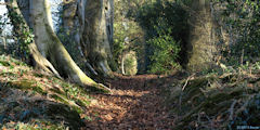Le Catelier (Sente 2)