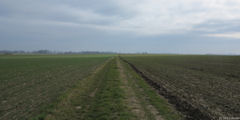 Montreuil en Caux (Chemin)