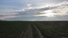 Heugleville sur Scie (Chemin)