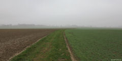 Montreuil en Caux (Chemin)