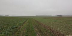 Bracquetuit (Chemin)