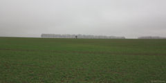 La Crique (Plaine 1)
