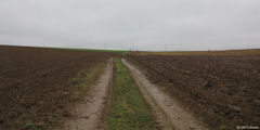 La Crique (Chemin)
