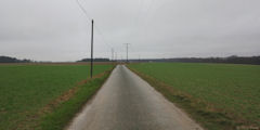 La Crique (Route)
