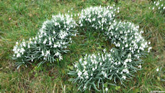 Mont-Cauvaire (Perce-Neige)