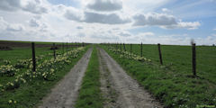 Bracquetuit (Chemin)