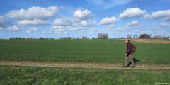 La Houssaye-Béranger (Chemin)