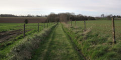 Vassonville (Chemin)