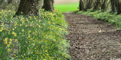 Bracquetuit (Chemin 1)
