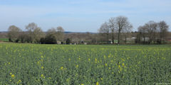 Beaumont le Hareng (Le Buc)