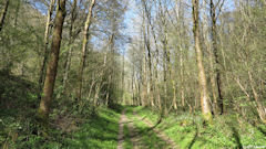 La Houssaye Béranger (Chemin)