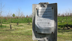 Clères (Plantation)