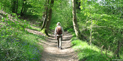 Montville (Chemin)
