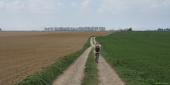 Sierville (Chemin)