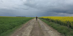Claville-Motteville (Chemin)