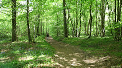 Fontaine le Bourg (Chemin)