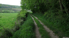 Anceaumeville (Chemin 1)