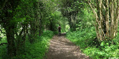 Anceaumeville (Chemin 2)