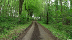 Bosc-Guérard-Saint Adrien