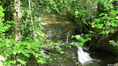 Fontaine le Bourg (Le Cailly)