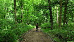 Malaunay (Chemin)
