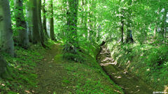 Saint André sur Cailly (Chemin 2)