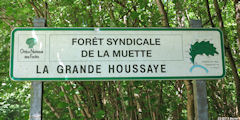 Forêt de la Muette (Panneau 1)