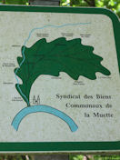 Forêt de la Muette (Panneau 2)