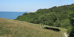 Varengeville sur Mer (Gorge 1)