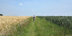 Préaux (Chemin 2)