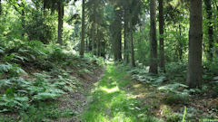 Saint Jacques sur Darnétal (Chemin)