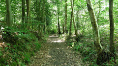 Saint Martin du Vivier (Chemin 1)