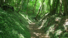 Saint Martin du Vivier (Chemin 2)