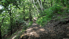 Darnétal (Sentier)