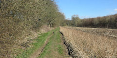 Bourdainville (Chemin)