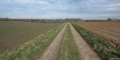 Beauval en Caux (Chemin)