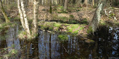 Ponts et Marais (Mare)