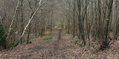 Ponts et Marais (Chemin)