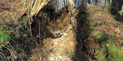 Val de Saâne (Ravine)
